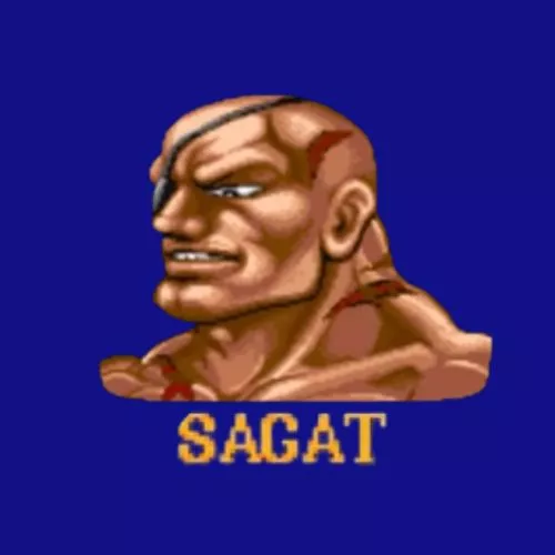Sagat dans Street Fighter II