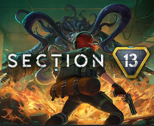 Section 13