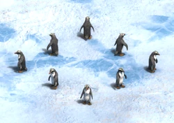 Invoque un Pingouin