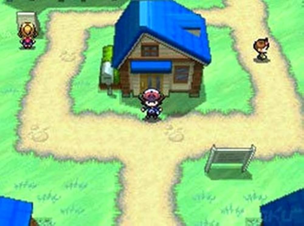 pokemon-version-blanche-noire-gameplay1