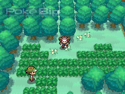 pokemon-version-noire-2-blanche-2-gameplay3