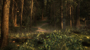 Sentier forestier éclairé par une lumière dorée entre les troncs