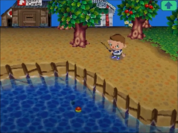 Animal_Crossing_Wild_World_Gameplay1
