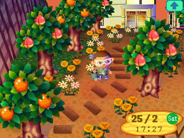 Animal_Crossing_Wild_World_Gameplay3