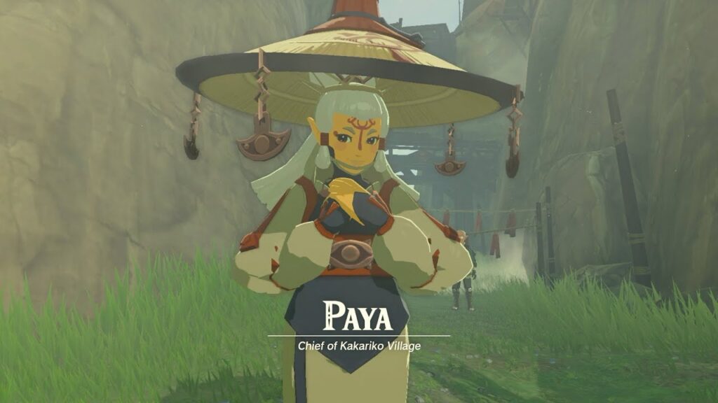 Paya - Image 3