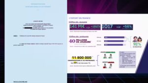 Extraits du compte rendu de la stratégie nationale Esport 2026-2030 (DOCUMENT CELLULE INVESTIGATION DE RADIO FRANCE)