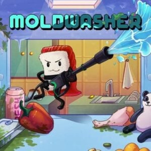 Moldwasher