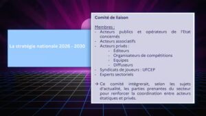 Extrait de la stratégie nationale Esport 2026-2030 sur le comité de liaison qui pilote la stratégie. (DOCUMENT CELLULE INVESTIGATION DE RADIO FRANCE)
